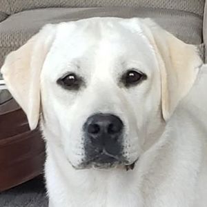 Meet your Posher, Gale